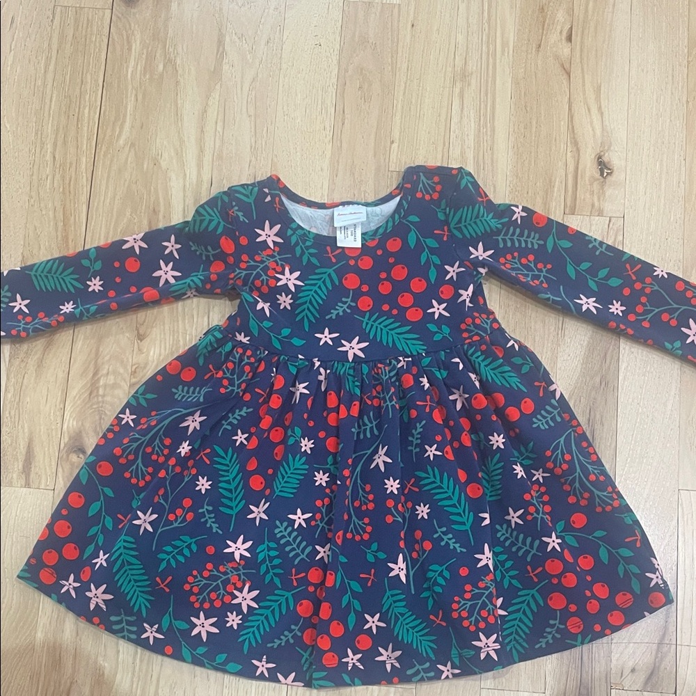 Hanna Andersson Navy Floral Dress